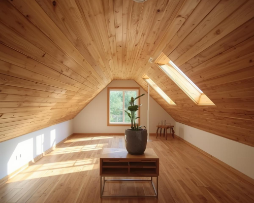 Attic Ventilation Services